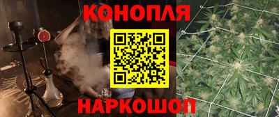 дмт Новокубанск