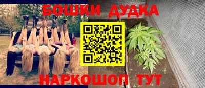 дмт Новокубанск