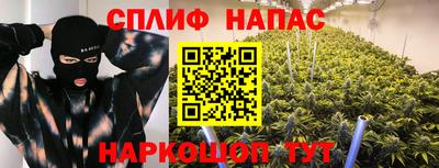 стаф Новозыбков