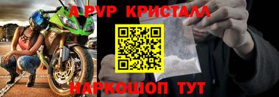 стаф Новозыбков