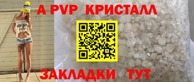 стаф Новозыбков